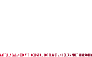 Beyond the Pale IPA