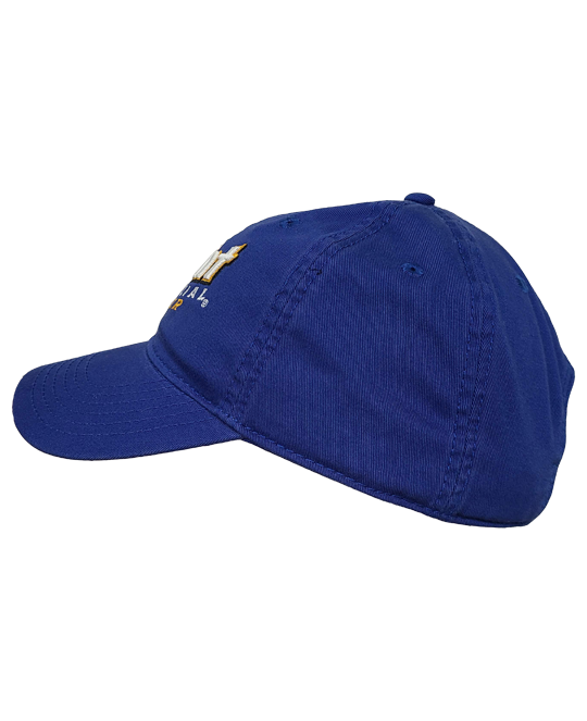 Point Special Hat Featured Product Image
