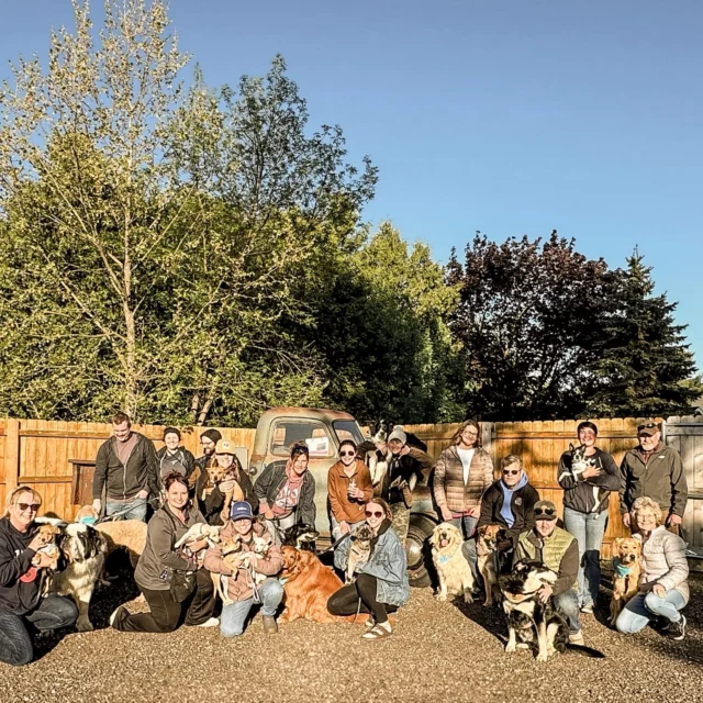 Paws and have a pint with us! Monday is Bones and Brews - come out for a brew and get a pup approved brew for your pup! Cheers! Let’s celebrate those furballs!