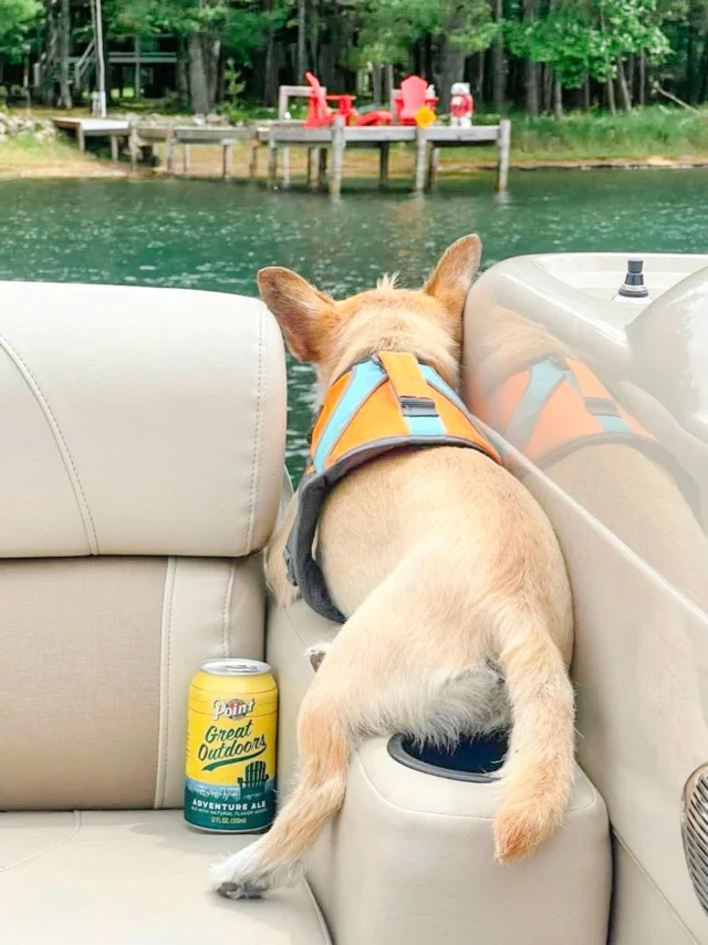 ⚠️ Warning ⚠️
 Beer guard on duty

Thank you Jake N for sending this photo in!