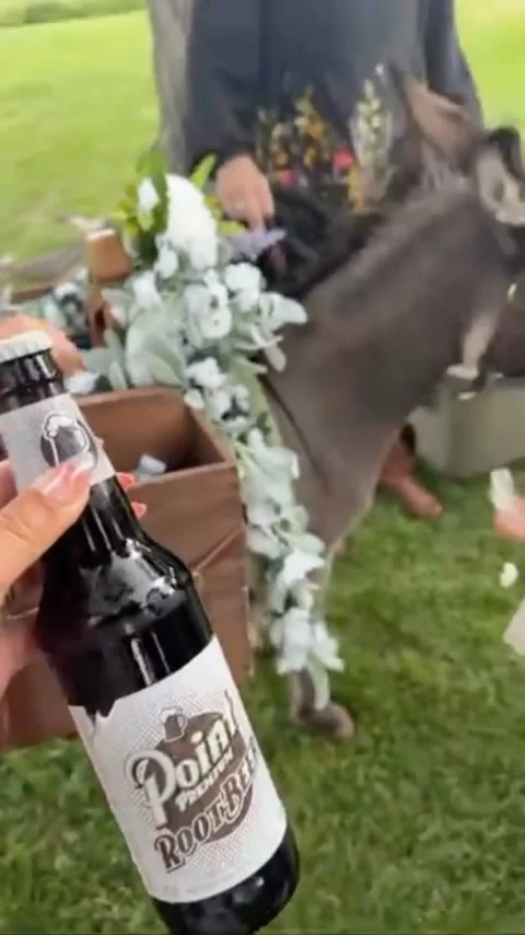 Special drink served in such a special way! Beer burros! Thank you Renae for sharing this video with us! Point Root Beer travelled the country to CO for a very special day! Thank you for choosing Point Soda! Do we need to hire some burros for the beer garden??